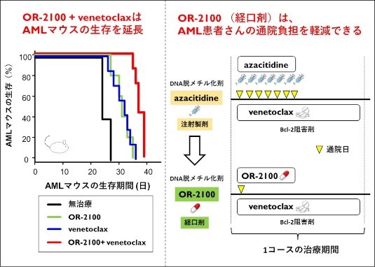 佐賀大学で開発した新薬のより効果的な使用法 ～DNA脱メチル化薬OR-2100を用いた併用がん治療法～