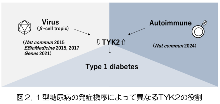 三根敬一朗先生の研究成果が”Nature Communications誌”に掲載されました！